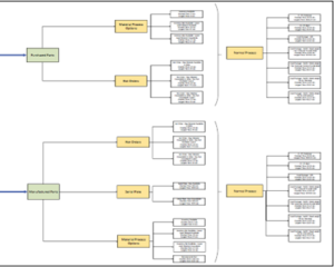 Value Stream Mapping